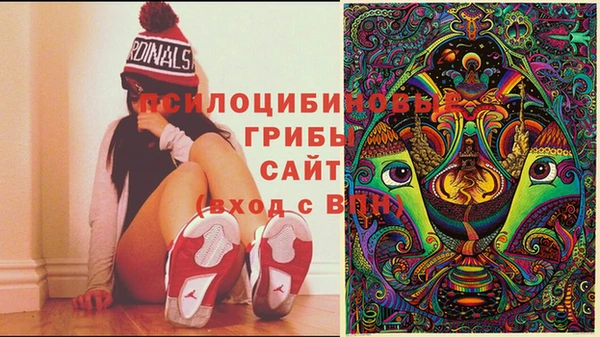 jwh Медвежьегорск