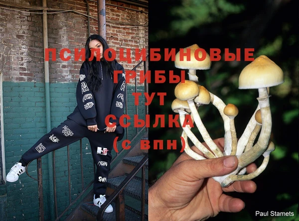 мяу мяу кристалл Мегион