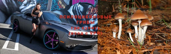 мяу мяу кристалл Мегион