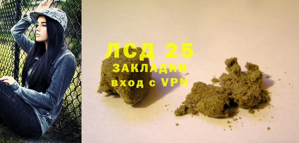 гидра Заполярный