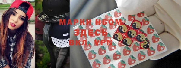 гидра Заполярный