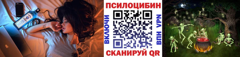 закладки  Сосенский  Галлюциногенные грибы Psilocybe 